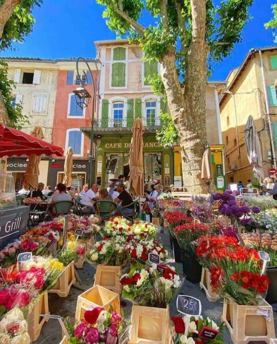 La Loge Familiale: 110M2, Place Rose Goudard, Ac L'Isle-sur-la-Sorgue Bagian luar foto